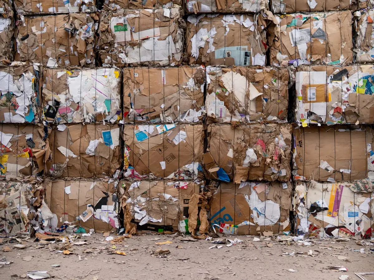 Bales of waste cardboard stacked for recycling