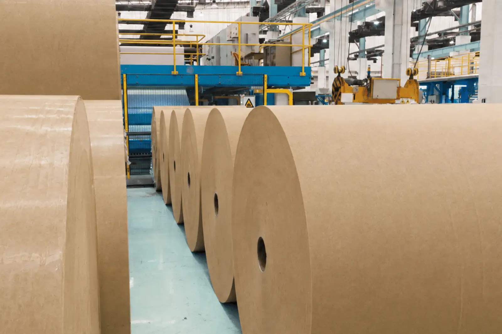 A row of jumbo kraft paper reels on the mill floor